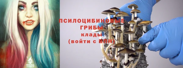 спиды Кодинск