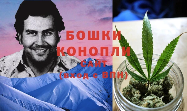 альфа пвп Краснослободск