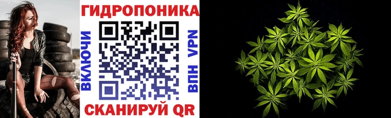МАРИХУАНА сатива  OMG ссылки  Макаров  где купить наркотик 